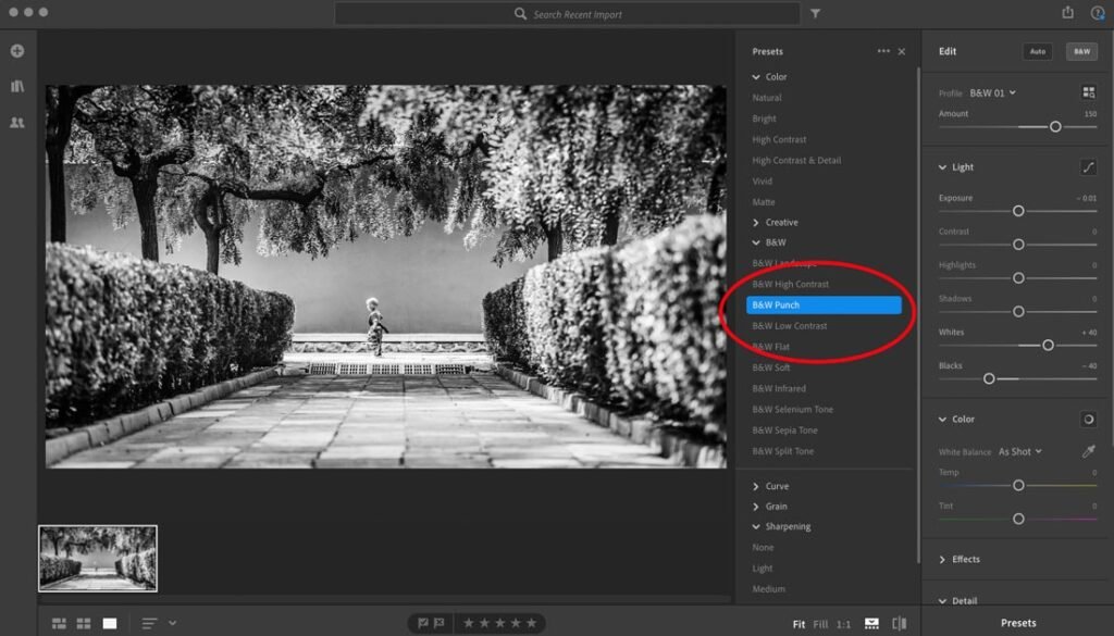 Save a Preset in Adobe Lightroom